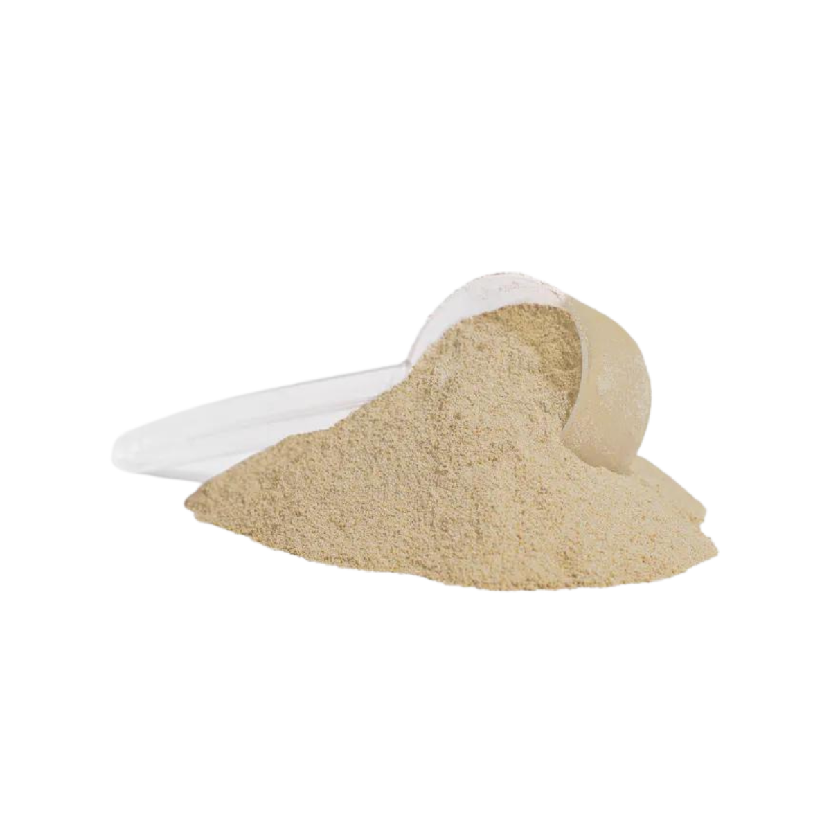 My Whey Protein Vanilla